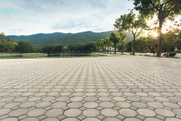 Best Residential Paver Driveway  in Indian Hills, NV
